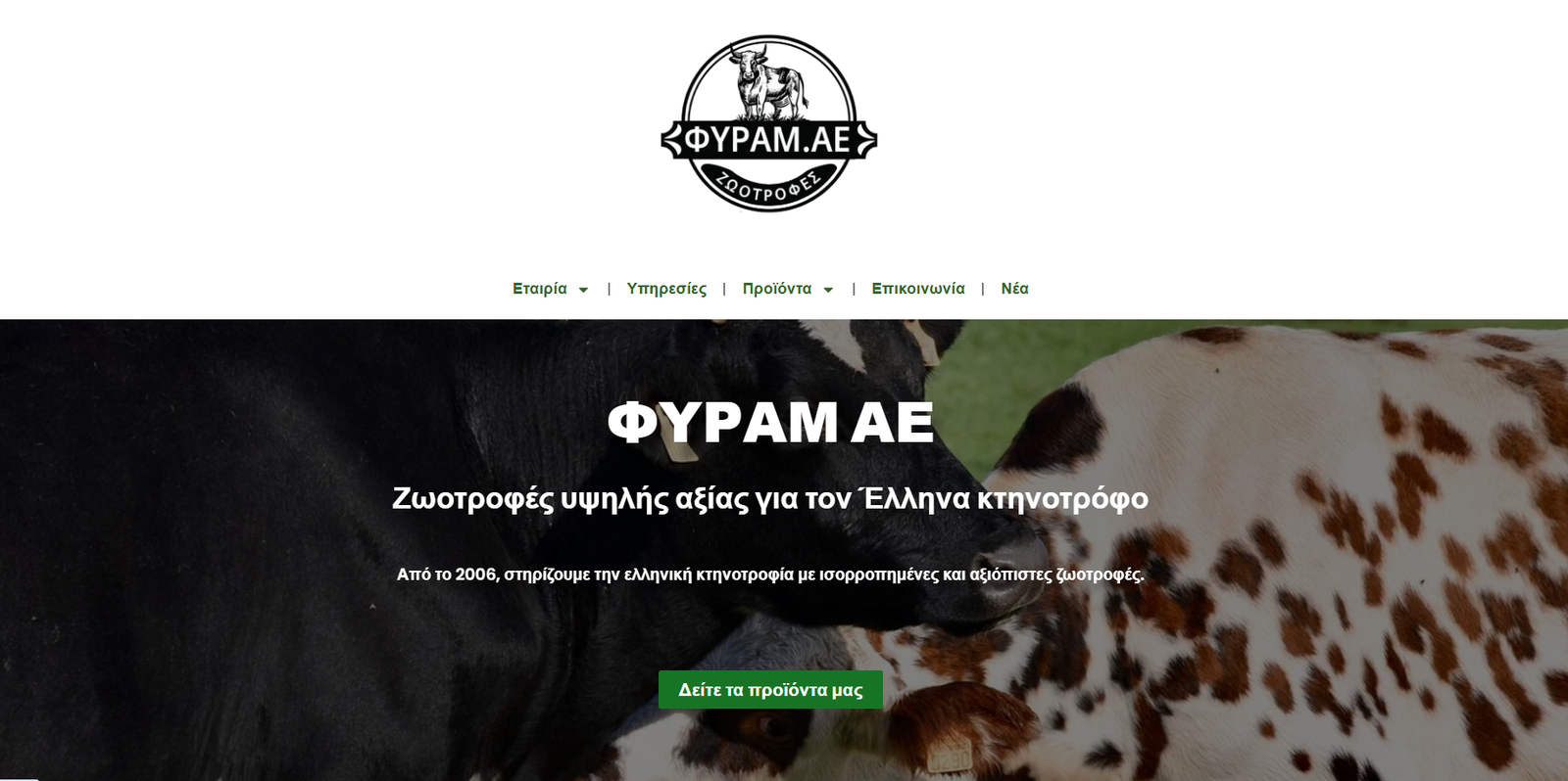 Κατασκευή επαγγελματικής ιστοσελίδας για μικρές επιχειρήσεις